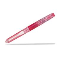 Pilot Hi-Tec-C Coleto 5芯筆套10支 盒